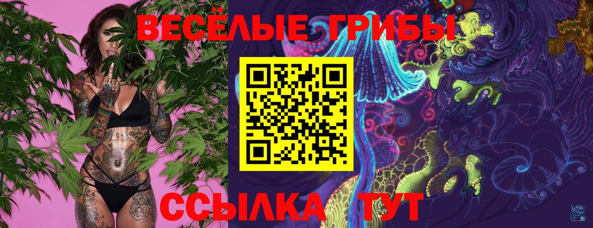 Гусиноозёрск  Галлюциногенные грибы Psilocybe  купить   Вход с VPN 