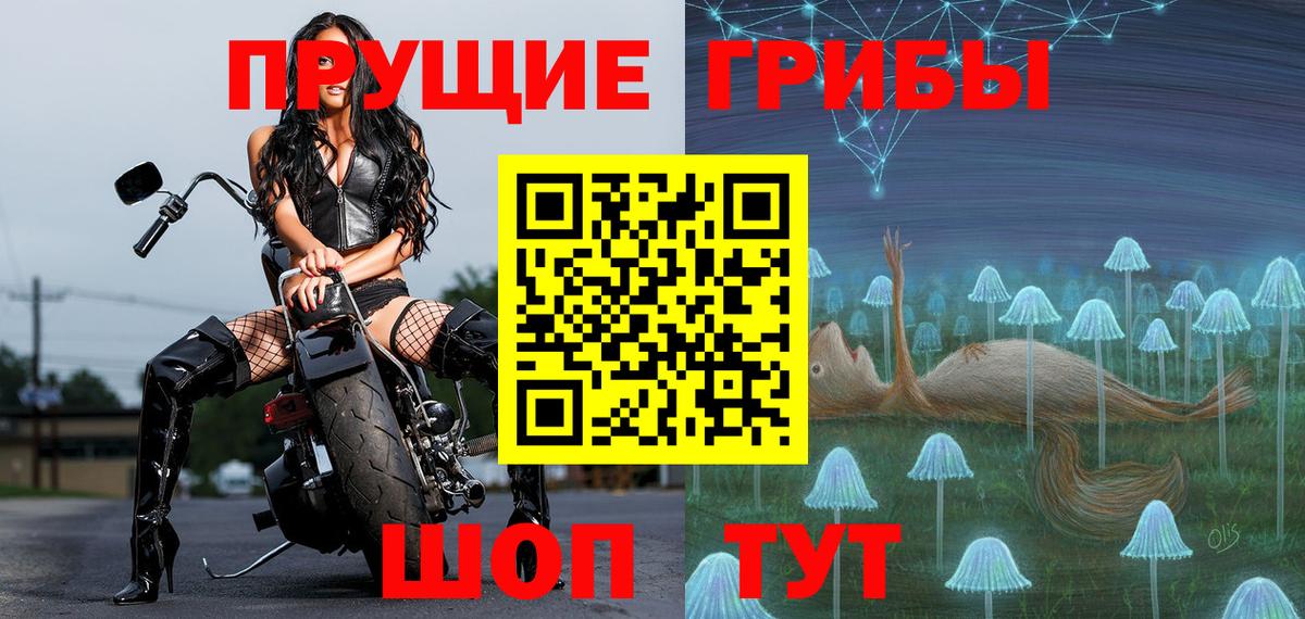 Галлюциногенные грибы прущие грибы Гусиноозёрск