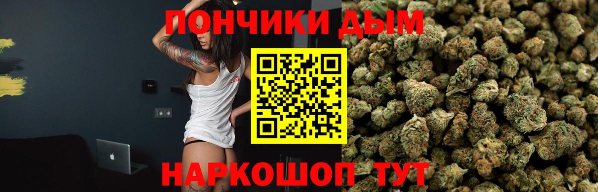 Конопля конопля Гусиноозёрск